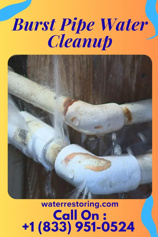 Burst Pipe Water Cleanup in Totah Vista, NM