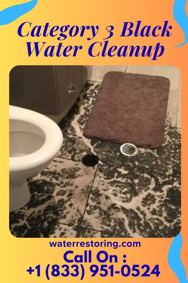 Category 3 Black Water Cleanup in Totah Vista, NM
