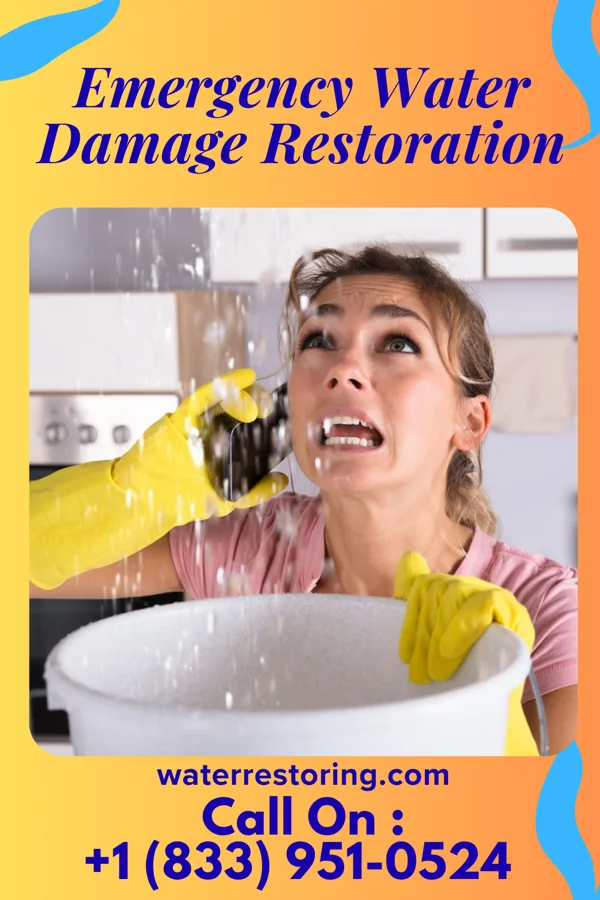 Emergency Water Damage Restoration in Totah Vista, NM