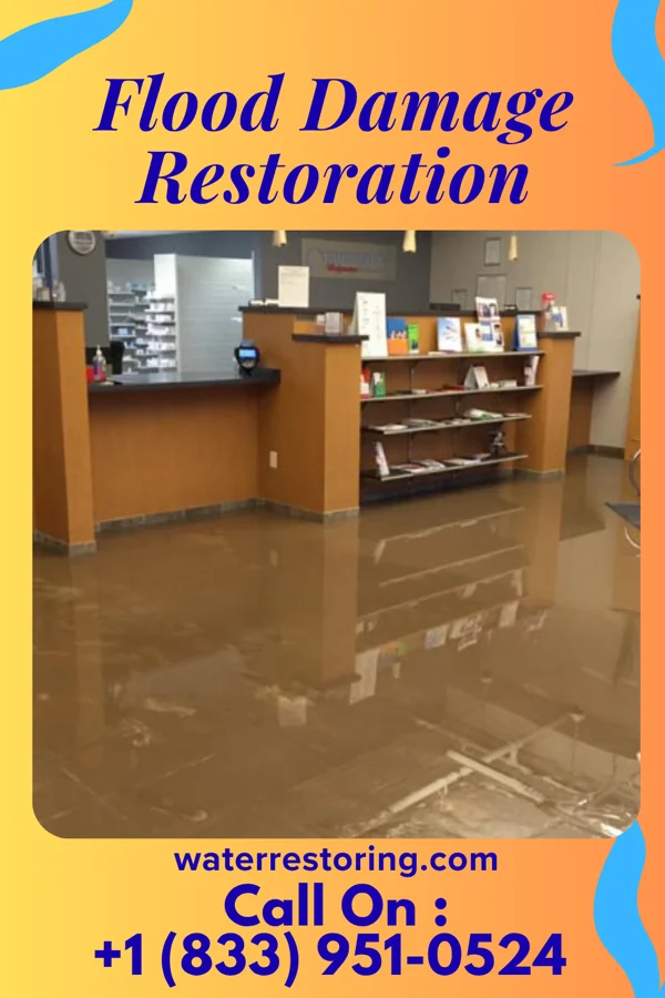 Flood Damage Restoration in Totah Vista, NM