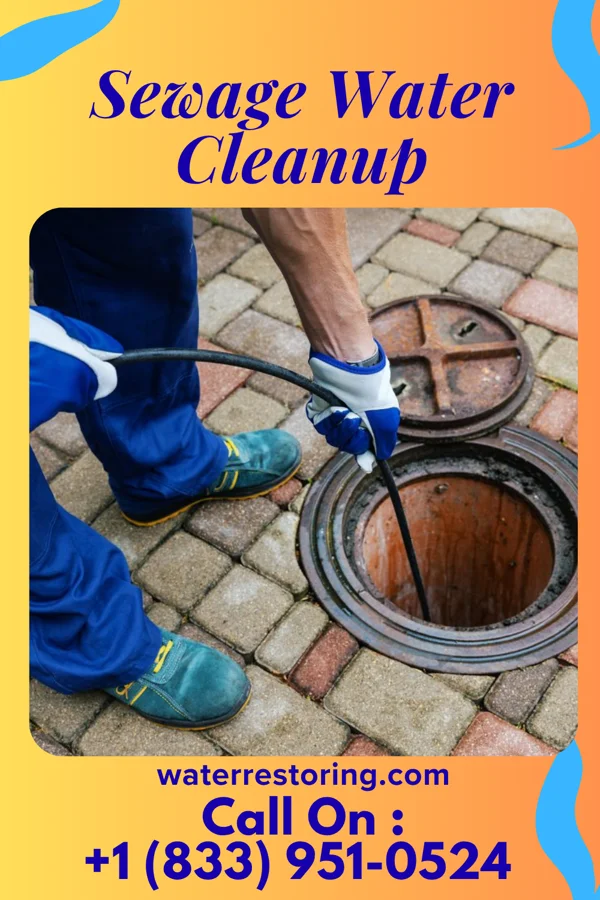 Sewage Water Cleanup in Totah Vista, NM